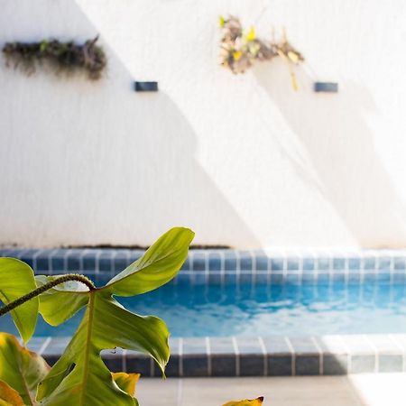 Casa Kayak - Villa Remo com piscina particular São Miguel dos Milagres Exterior foto